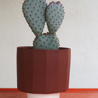 Planter by Ryan Takaba