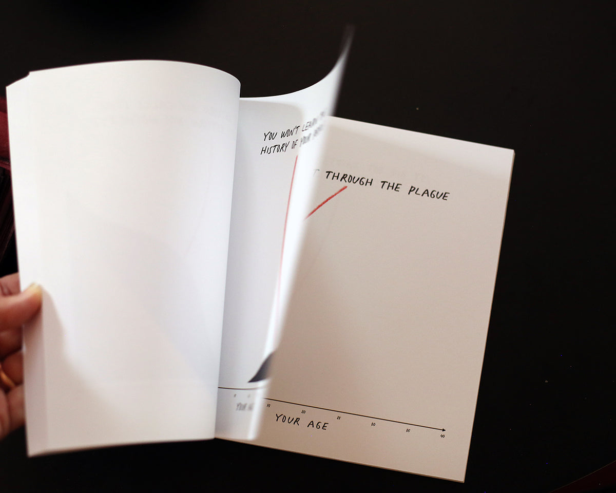 Anxieties of an Immigrant Father Book by Safwat Saleem