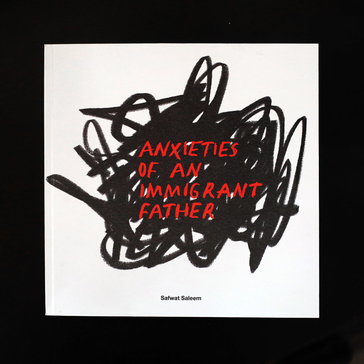 Anxieties of an Immigrant Father Book by Safwat Saleem
