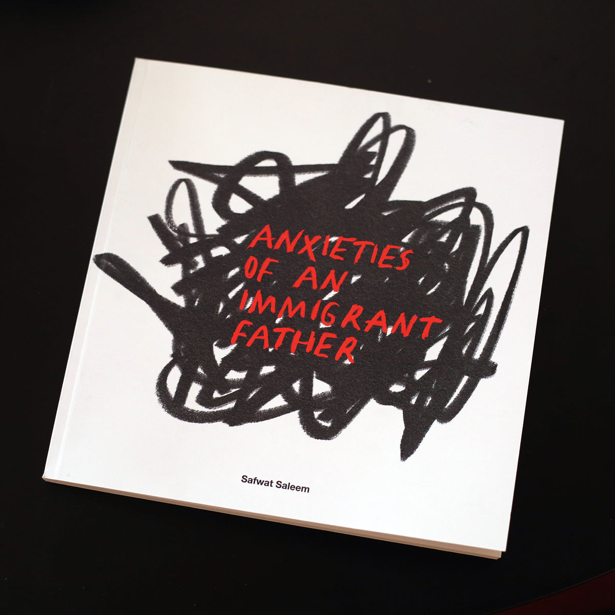 Anxieties of an Immigrant Father Book by Safwat Saleem