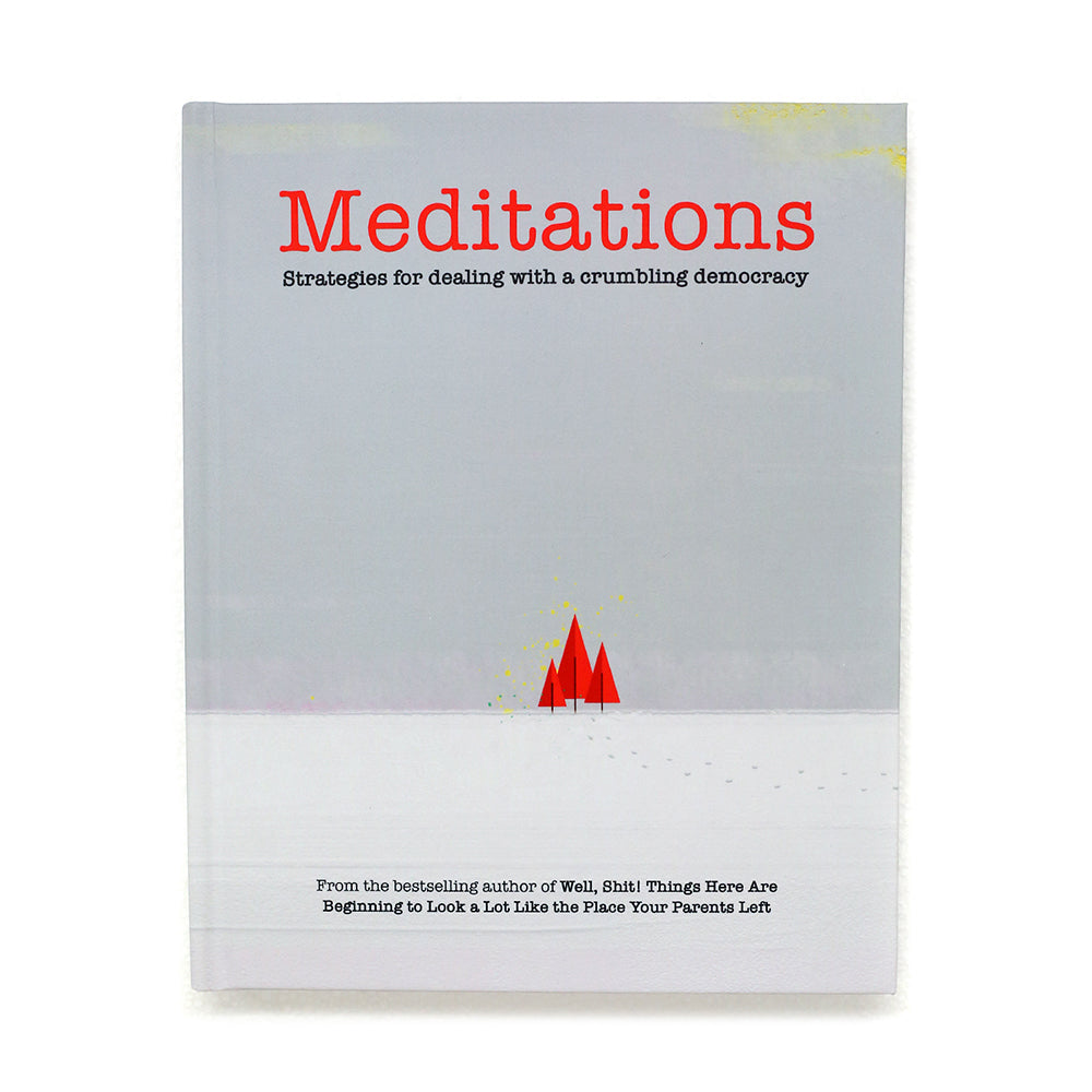 Meditations by Safwat Saleem
