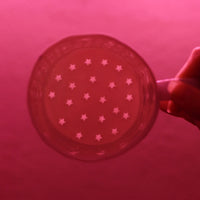 'Your Made of Stardust' Mug by Stepanka Summer