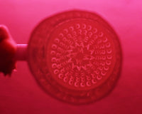 'Dream Big' Mug by Stepanka Summer