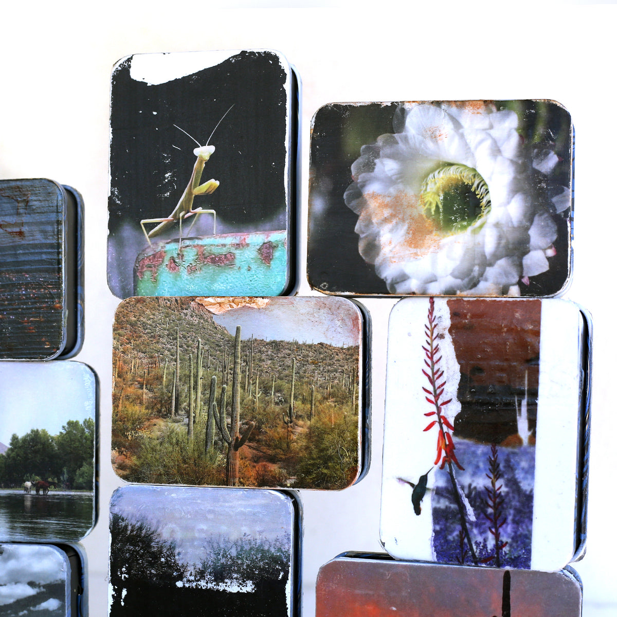 Collaboration Tins by Brad Towsley & Lisa Olson