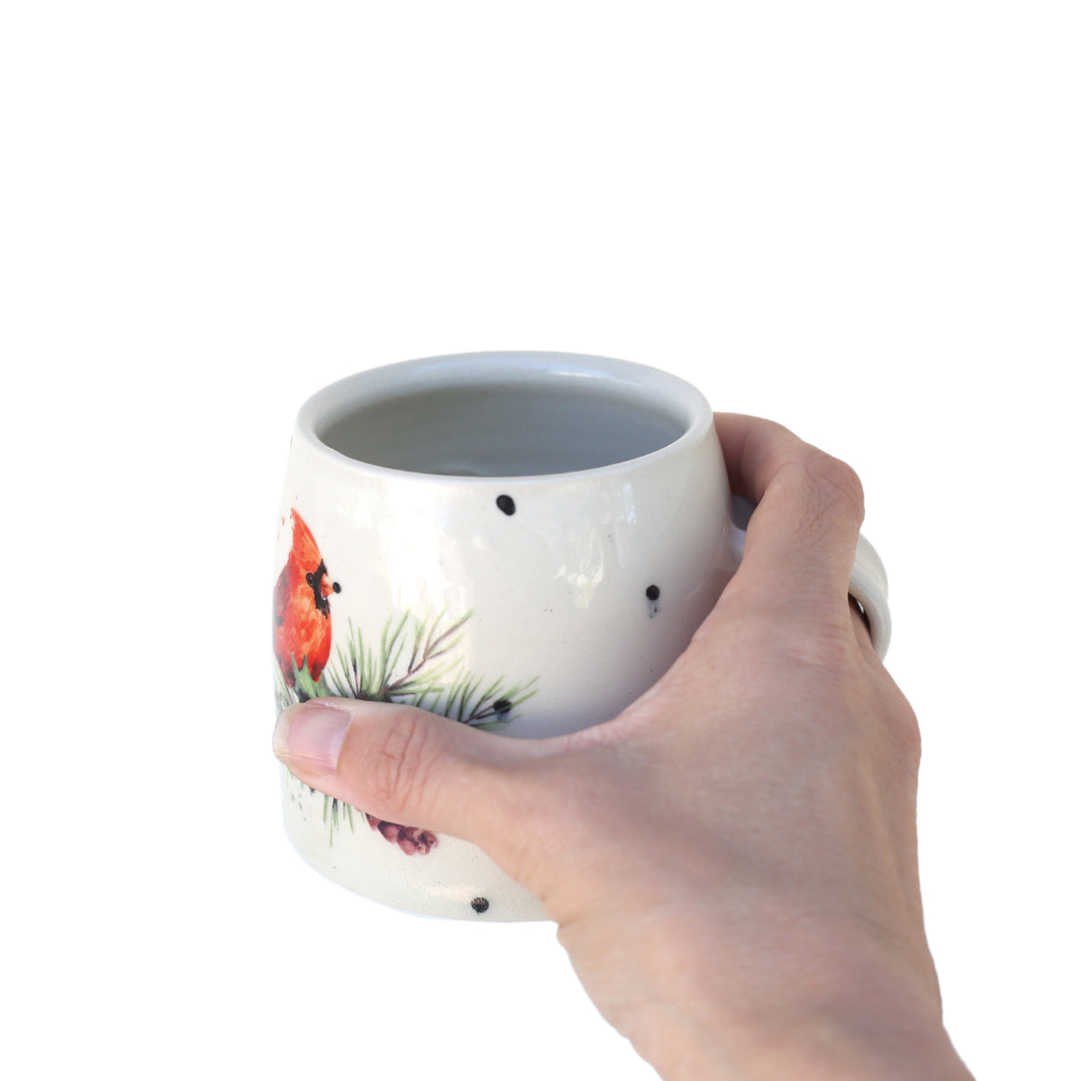 Red Robin Mug by Tom Budzak