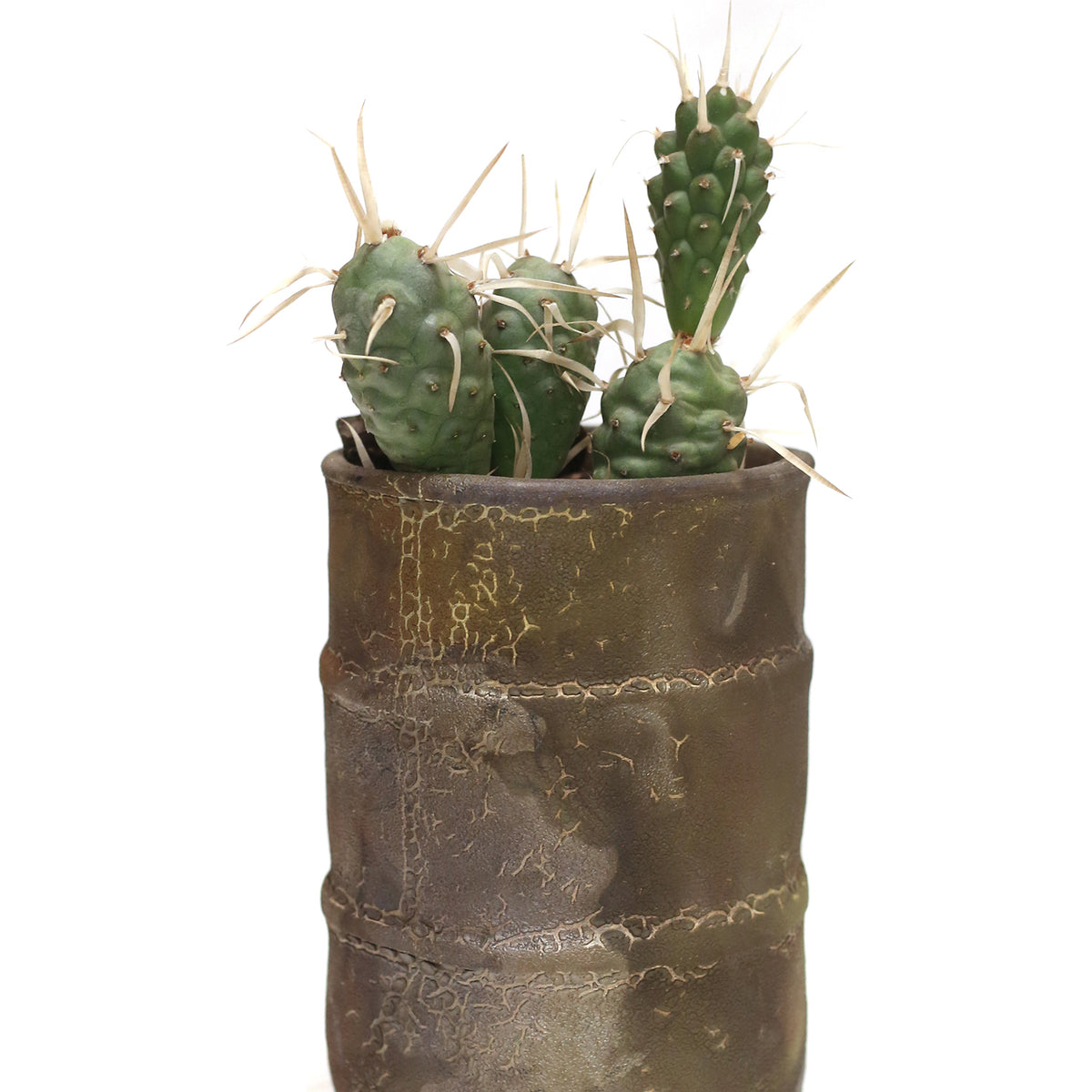 Raku Barrel Planter by Tracy Montgomery