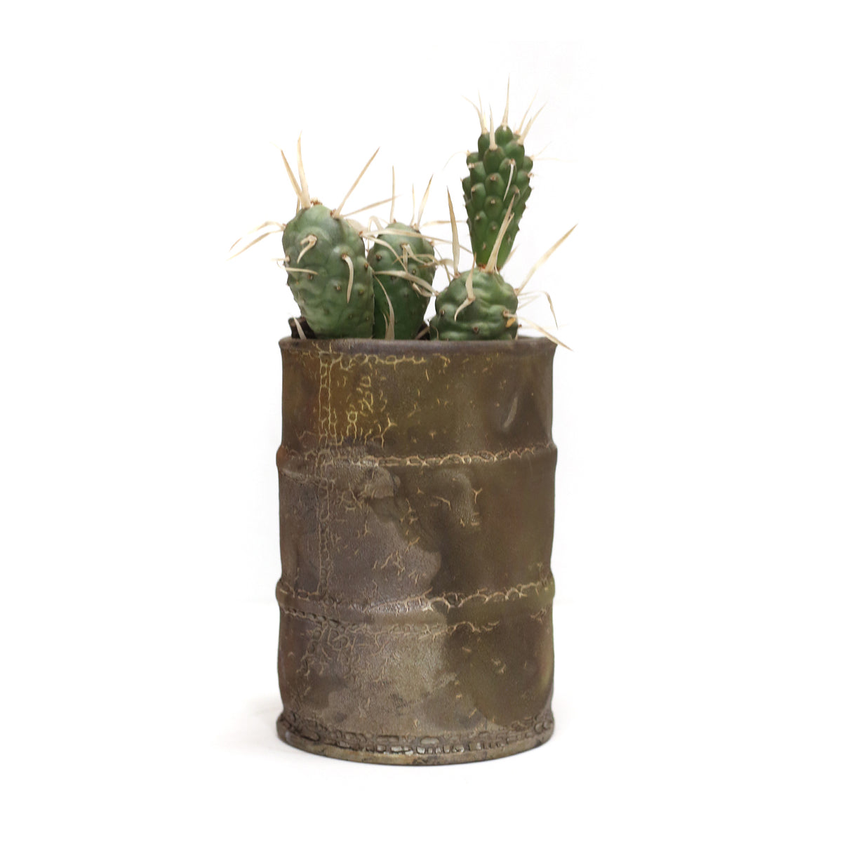 Raku Barrel Planter by Tracy Montgomery