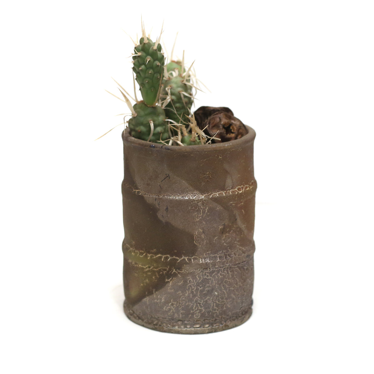 Raku Barrel Planter by Tracy Montgomery