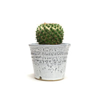Planter by Tracy Montgomery