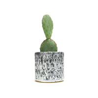 Planter by Tracy Montgomery
