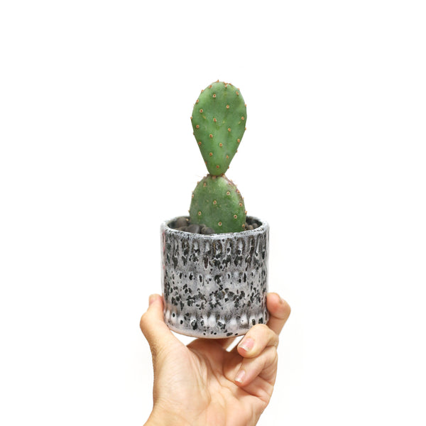 Planter by Tracy Montgomery