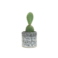 Planter by Tracy Montgomery