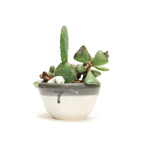 Planter by Tracy Montgomery