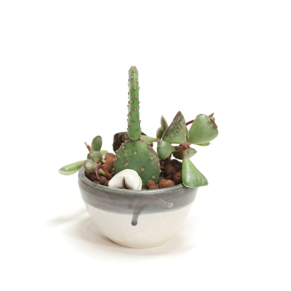 Planter by Tracy Montgomery