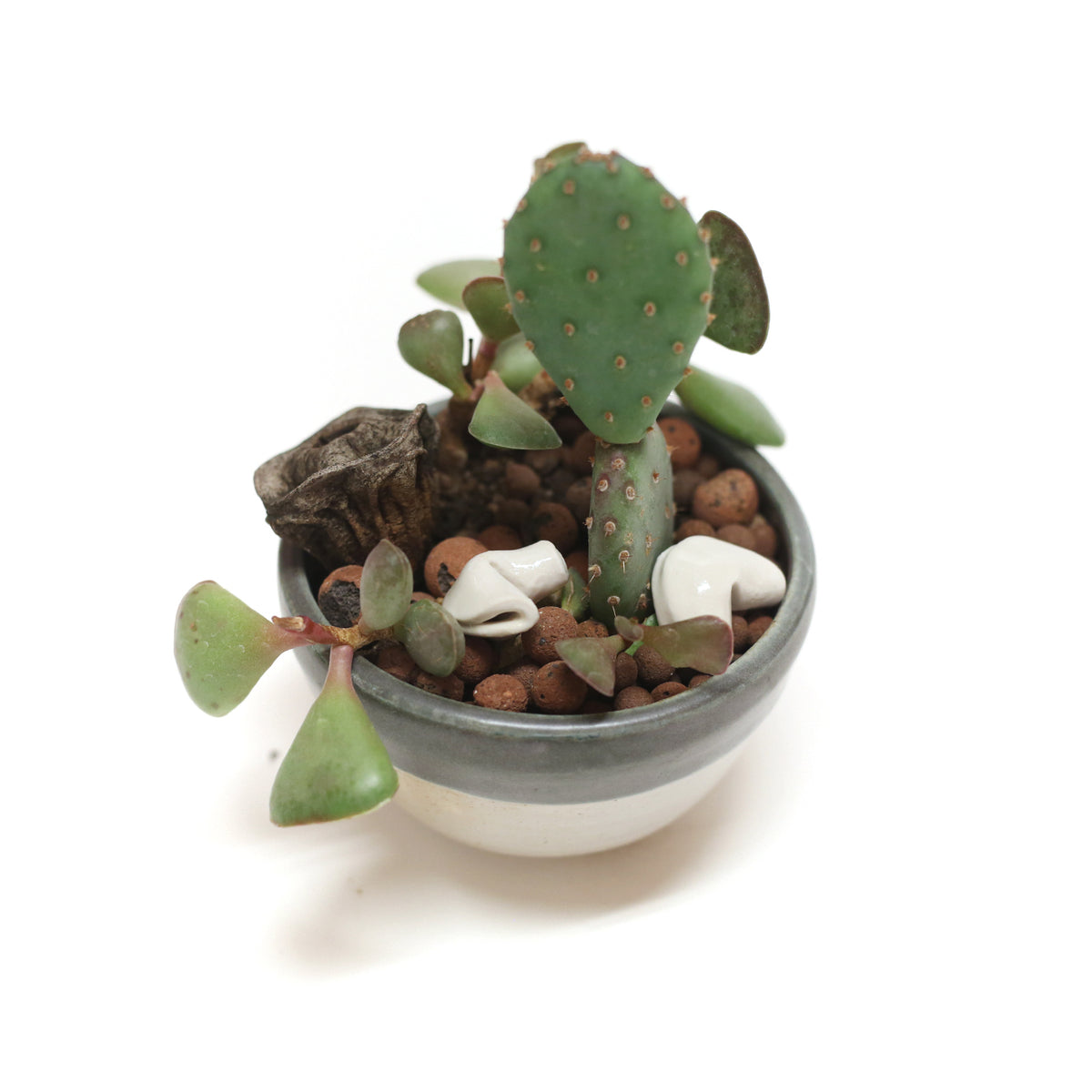 Planter by Tracy Montgomery
