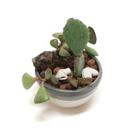 Planter by Tracy Montgomery
