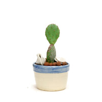 Planter by Tracy Montgomery