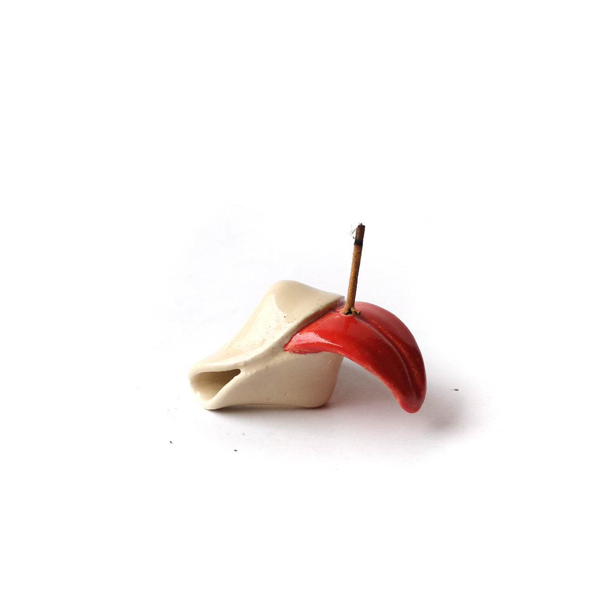 Incense Fortune Cookie  by Tracy Montgomery