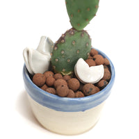 Planter by Tracy Montgomery