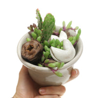 Planter by Tracy Montgomery