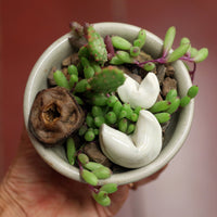 Planter by Tracy Montgomery
