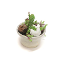 Planter by Tracy Montgomery