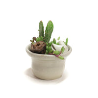 Planter by Tracy Montgomery