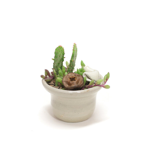 Planter by Tracy Montgomery