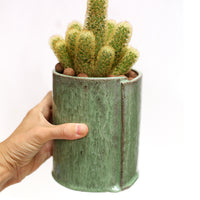 Planter by Tracy Montgomery