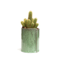 Planter by Tracy Montgomery