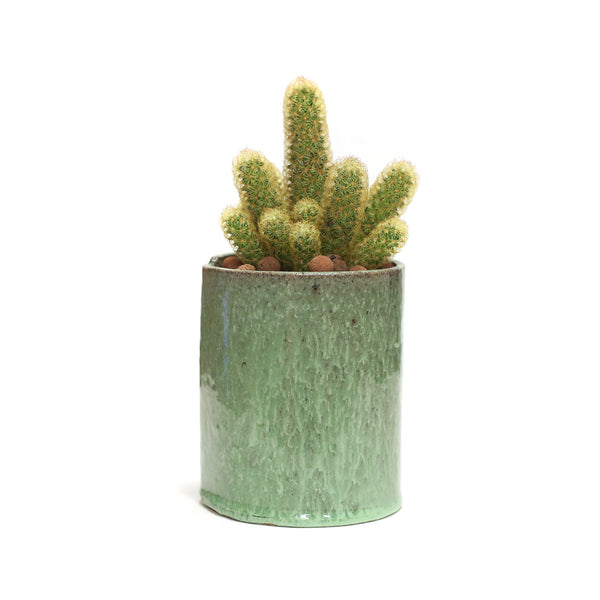 Planter by Tracy Montgomery