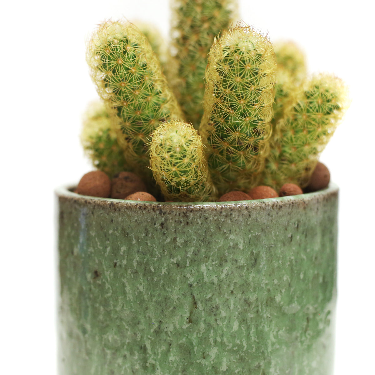 Planter by Tracy Montgomery