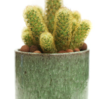 Planter by Tracy Montgomery