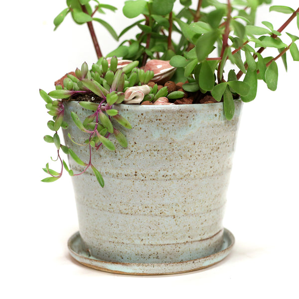 Planter by Tracy Montgomery