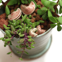 Planter by Tracy Montgomery