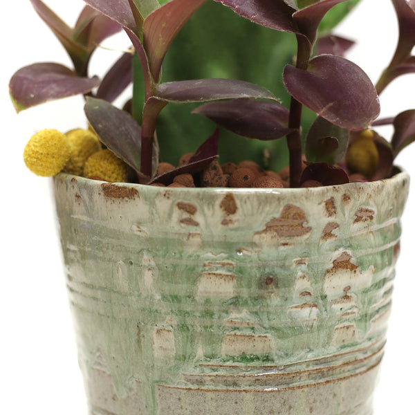 Planter by Tracy Montgomery