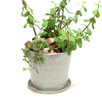 Planter by Tracy Montgomery