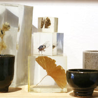 Frozen Objects by Bettina Chow
