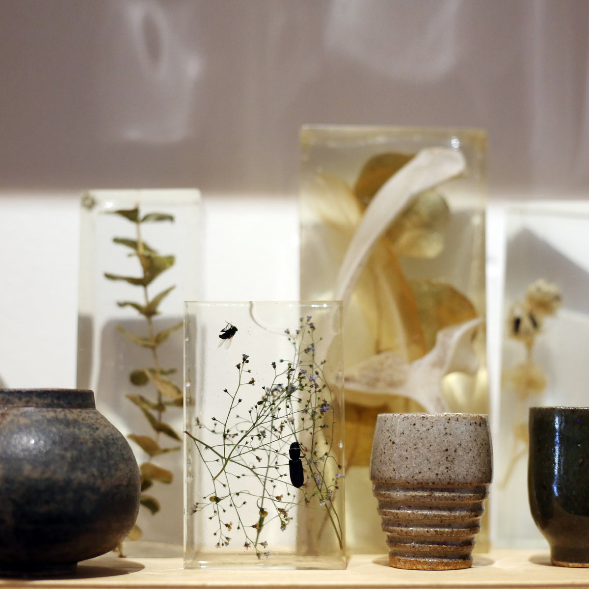 Frozen Objects by Bettina Chow