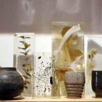Frozen Objects by Bettina Chow