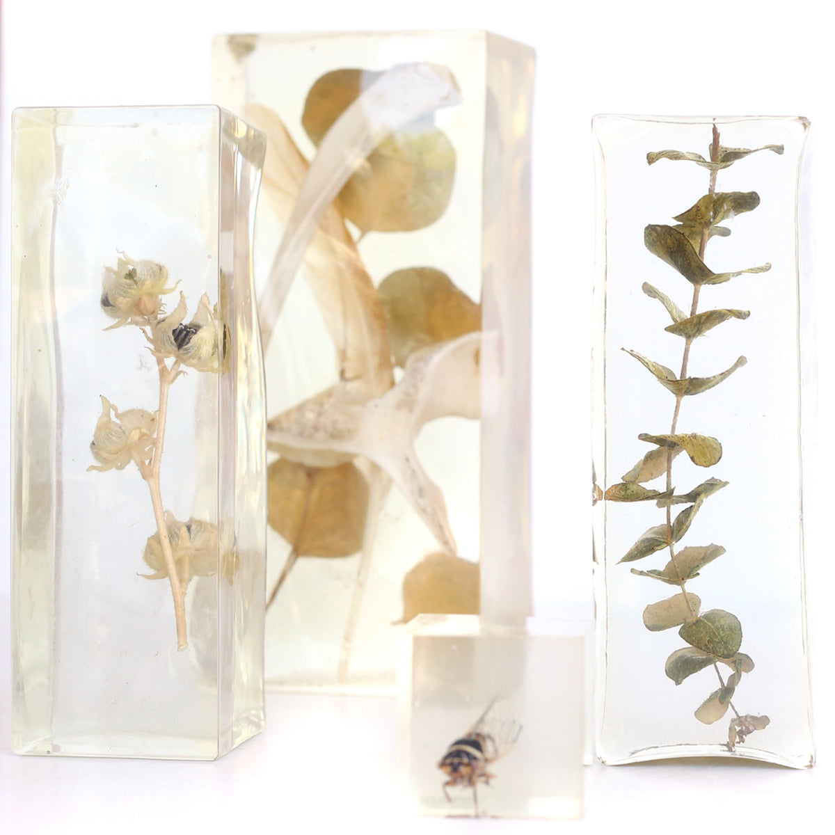 Frozen Objects by Bettina Chow