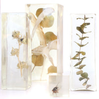 Frozen Objects by Bettina Chow