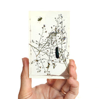 Frozen Objects by Bettina Chow