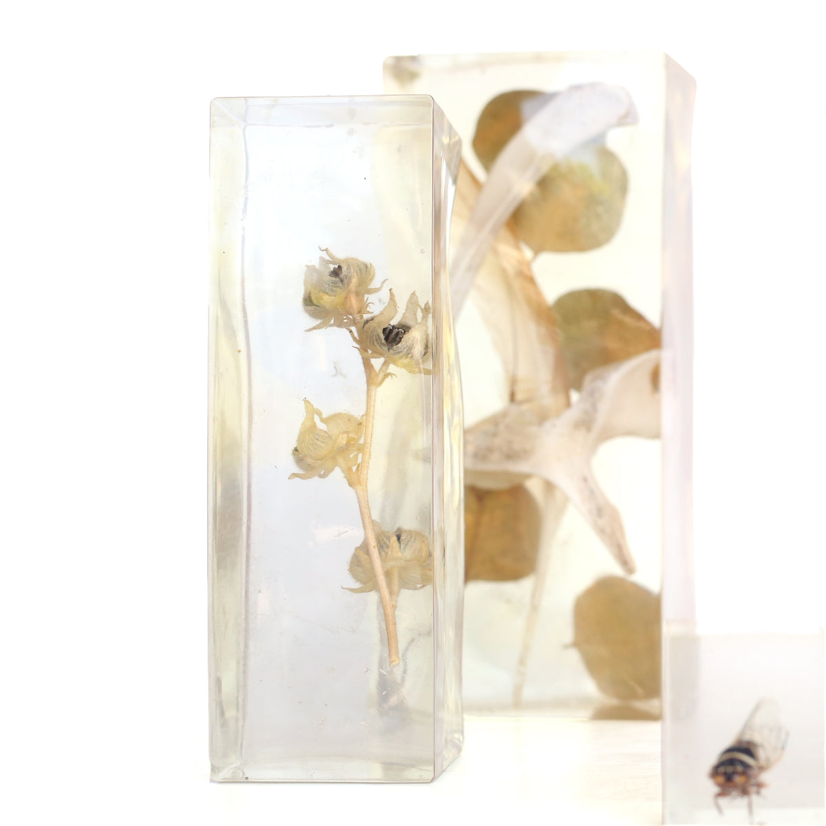 Frozen Objects by Bettina Chow