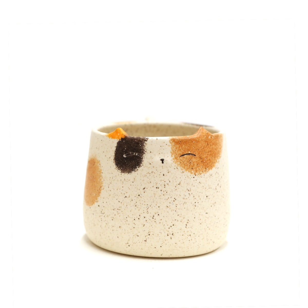 Cat Mug by Zane Zuppan