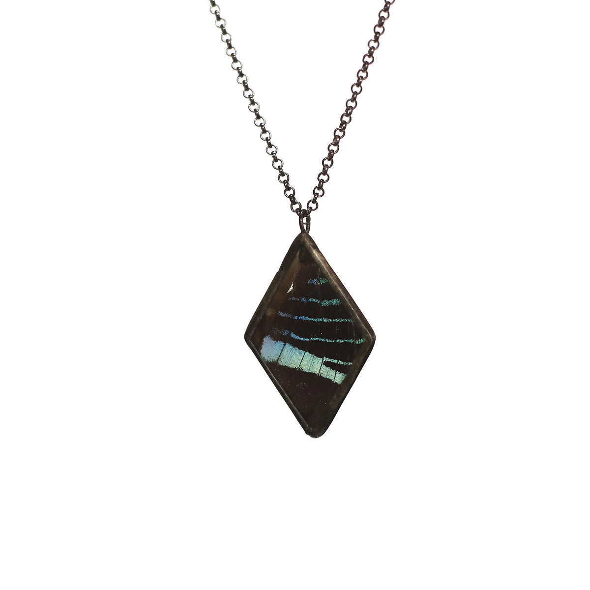 Peruvian Sunset Moth Necklace by Heather Grimes