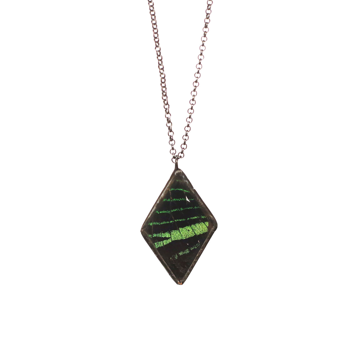 Peruvian Sunset Moth Necklace by Heather Grimes