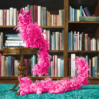 "Fine Feathered Friends" Print by Leah Kiser