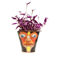 6" Face Planter by Jennifer Gross