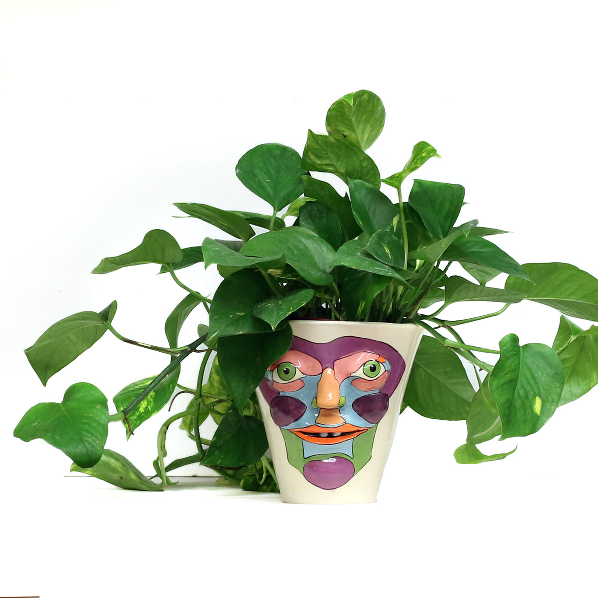 7" Face Planter by Jennifer Gross